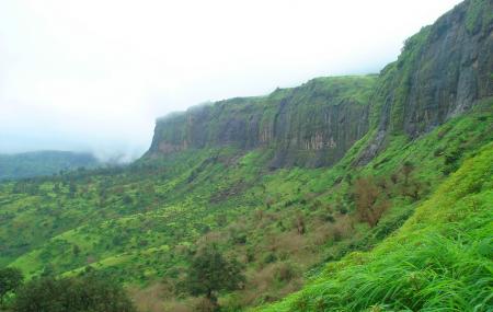 Brahmagiri Hills Image
