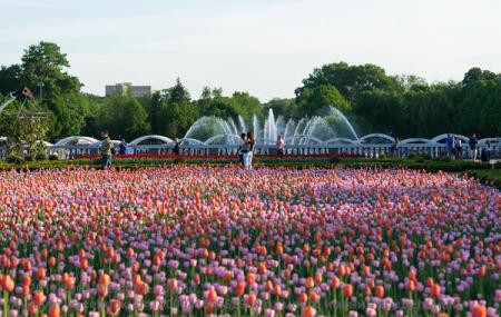 Gorky park фото