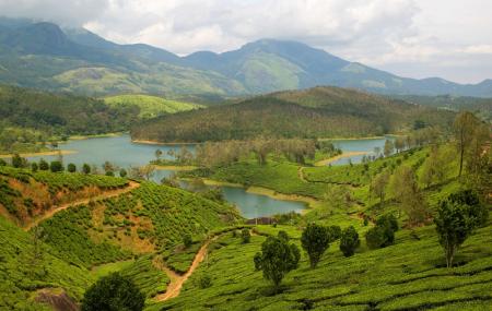 Yelagiri Hills Image
