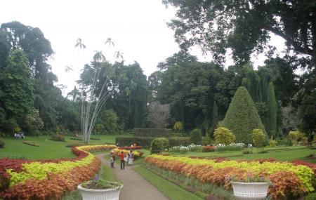 Botanical garden timings