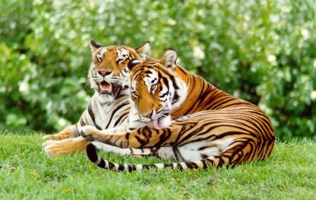 Sundarban Tourism