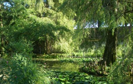 Ortobotanico Di Lucca Image
