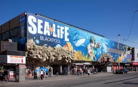 Sea Life Blackpool Image