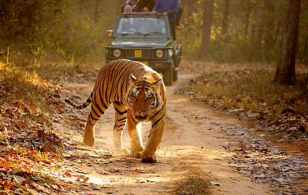 Kanha Kisli National Park Image