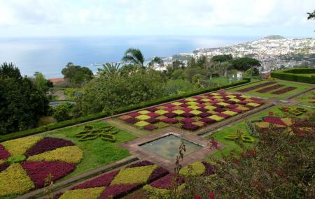 Botanical Garden Madeira Image