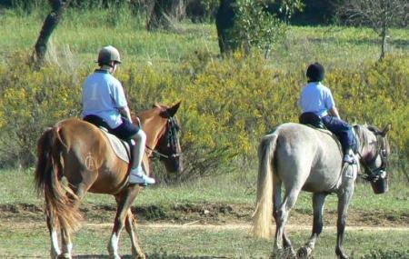 Albufeira Riding Centre Image