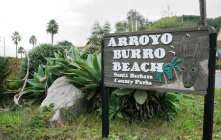 Arroyo Burro County Beach Park Image