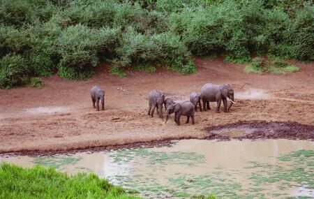 Mwaluganje Elephant Sanctuary Image