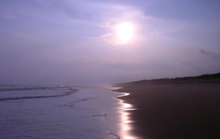 Chandrabhaga Sea Beach Image