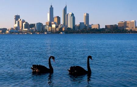 Swan River Image