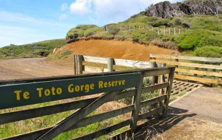 Te Toto Gorge Image