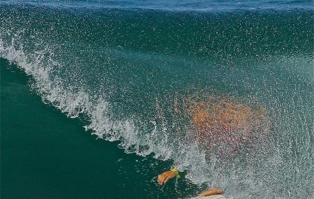 Del Mar Surf Camp Image