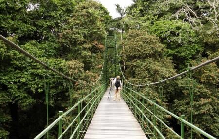 Rain Forest Adventures Image