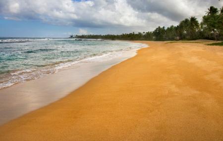 Dorado Beach Image
