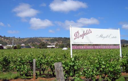 Penfolds Magill Estate Winery Image