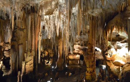Tantanoola Caves Conservation Park Image