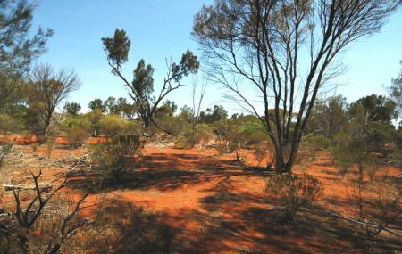 Goongarrie National Park Image