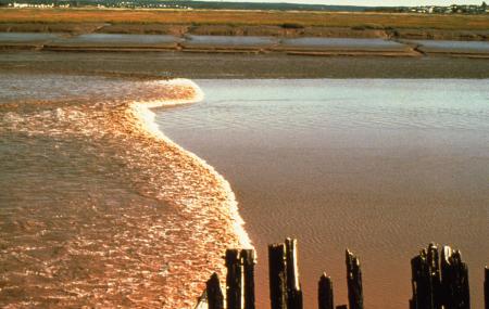 Tidal Bore Image