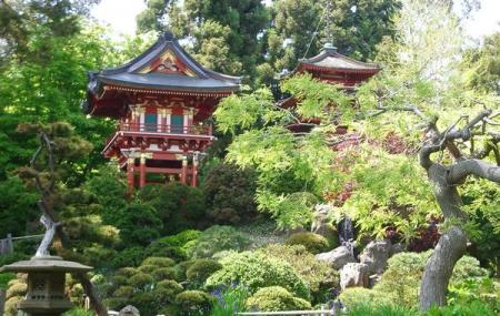 Japanese Tea Garden of San Antonio