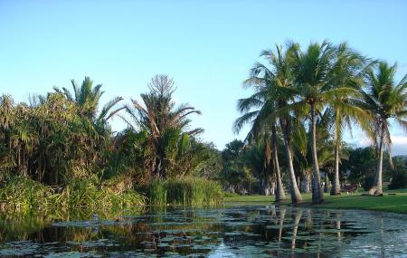 Townsville Palmetum Image