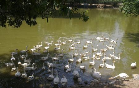 Mahendra Chaudhary Zoological Park Image