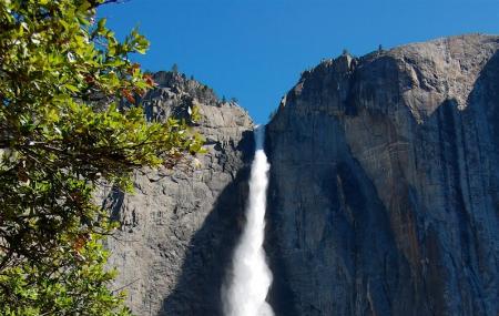 Yosemite Falls Image