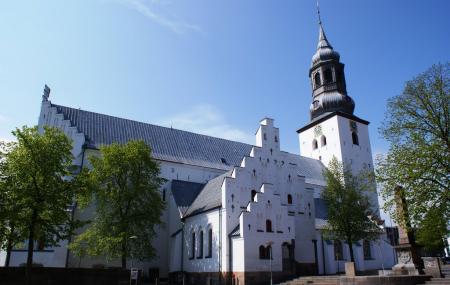 Budolfi Church Image