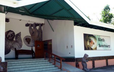 Aviarios Del Caribe Sloth Sanctuary Image