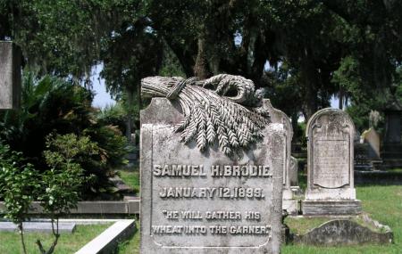 Magnolia Cemetery Charleston Map Magnolia Cemetery, Charleston | Ticket Price | Timings | Address: Triphobo