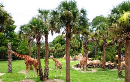 Jacksonville Zoo And Gardens Jacksonville Ticket Price