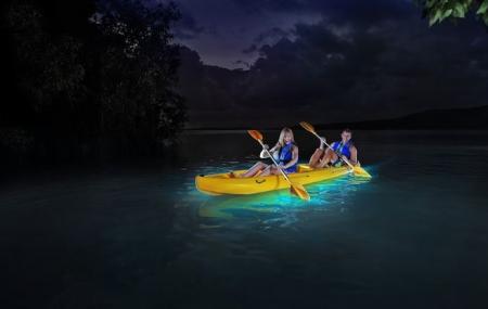 Yokahu Kayak Trips Image