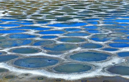 Spotted Lake Image