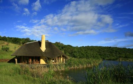 Tala Privated Game Reserve Image