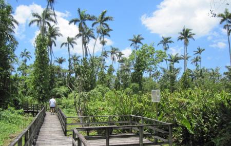 Royal Palm Reserve Image