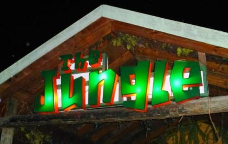 The Jungle Nightclub, Sports And Grill Bar Image