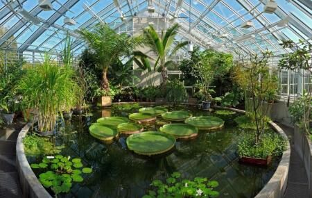 Botanical Gardens Image