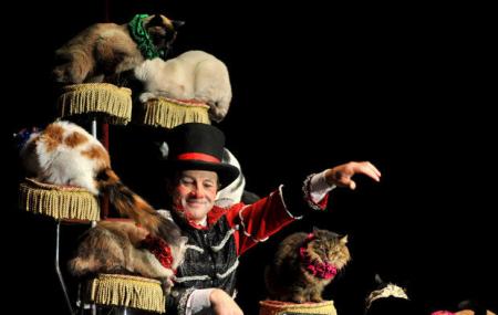 Gregory Popovich's Comedy Pet Theater Image