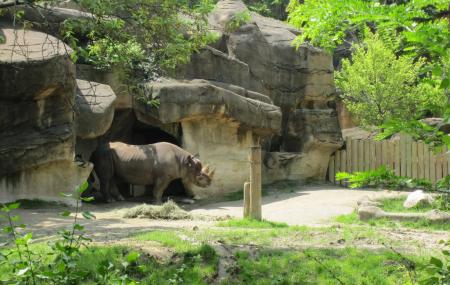 Cincinnati Zoo And Botanical Garden Cincinnati Ticket Price Timings Address Triphobo