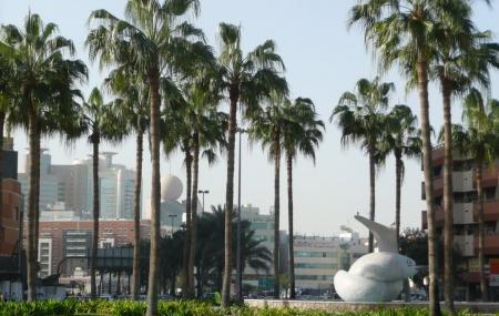Fish Roundabout Image
