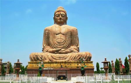 Great Buddha Statue Image