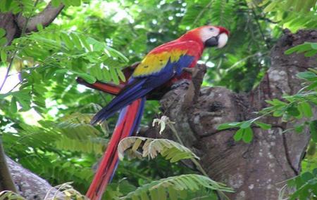 Diego Birding And Nature Day Tours Image