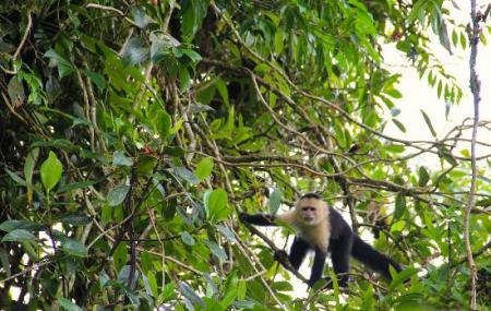 Cerro Chato Anc Park And Gardens Image
