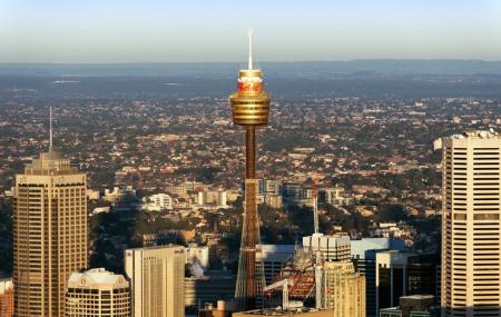 sydney tower observation deck