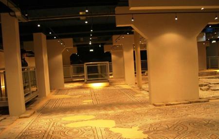 Domus Of The Stone Carpets Image