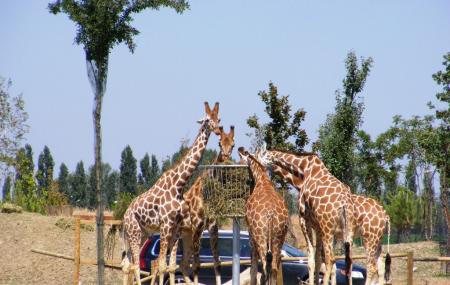 safari ravenna italy