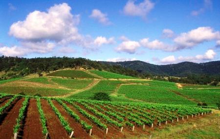 Hunter Valley Wineries Image