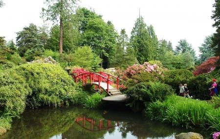 Kubota Garden Seattle Ticket Price Timings Address Triphobo