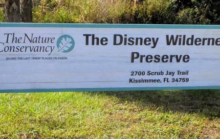 The Disney Wilderness Preserve Image