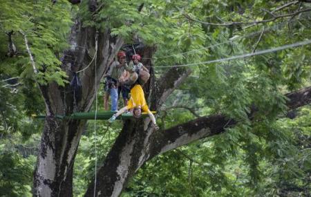 Costa Rica Green Life - Private Tours Image