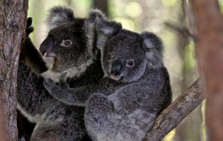 Billabong Wildlife Park Image